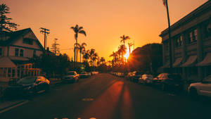 Neighborhood Street In Los Angeles 4k Wallpaper