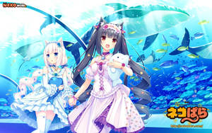 Neko Works' Nekopara Girls Wallpaper