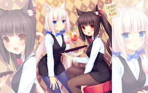 Nekopara Bartenders Wallpaper