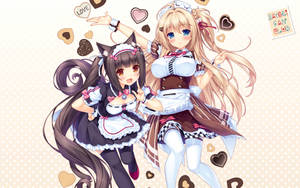 Nekopara Chocola And Maple Wallpaper