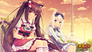 Nekopara Girls At Park Wallpaper