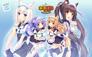 Nekopara Girls Wallpaper