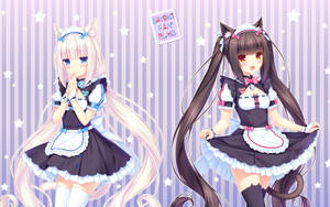 Nekopara Maids Wallpaper