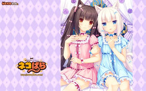 Nekopara Pajamas Wallpaper