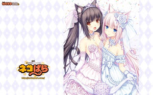 Nekopara's Chocola And Vanilla Wallpaper