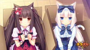 Nekopara's Chocola And Vanilla In Boxes Wallpaper