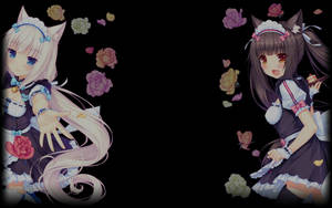 Nekopara's Twins Background Wallpaper