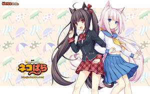 Nekopara School Outfits Wallpaper