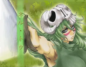 Nelliel Tu Odelschwanck, Bleach Anime Character Wallpaper