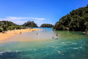 Nelson Sunny Beach Day Wallpaper