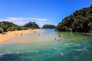 Nelson Sunny Beach Day Wallpaper