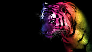 Neon Animal Colored Tiger Edit Wallpaper