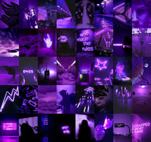 Neon_ Dark_ Purple_ Aesthetic_ Collage Wallpaper