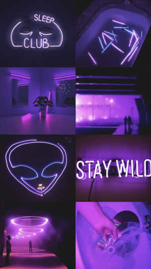 Neon_ Dark_ Purple_ Aesthetic_ Collage.jpg Wallpaper