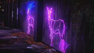 Neon Deer Graffiti Art Wallpaper