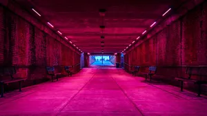 Neon Explosion Of Color Wallpaper