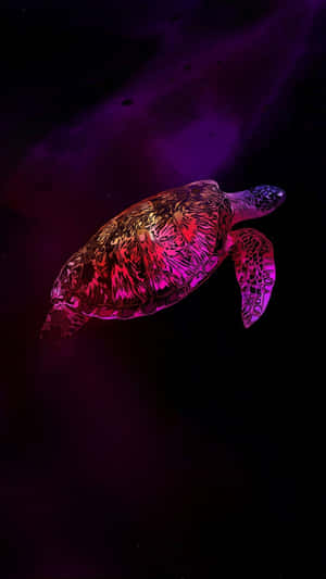 Neon Glow Sea Turtle Art Wallpaper