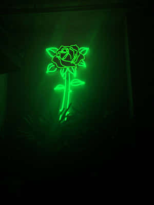 Neon Green Rose Illumination Wallpaper