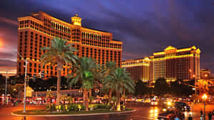 Neon Lights Of The Strip In Las Vegas Wallpaper