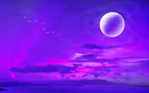 Neon Moon And Purple Sky Wallpaper