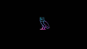 Neon O V O Owl Logo Wallpaper