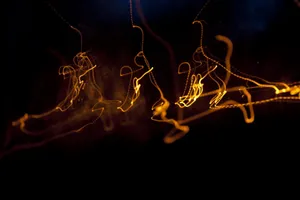 Neon Orange Strings Wallpaper