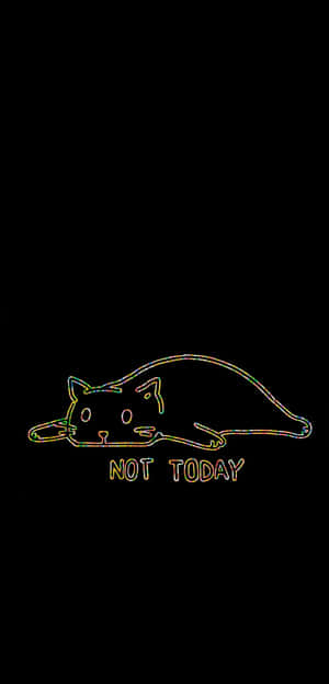 Neon_ Outline_ Sad_ Cat_ Not_ Today Wallpaper