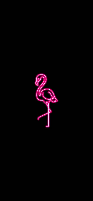 Neon Pink Aesthetic Flamingo Wallpaper