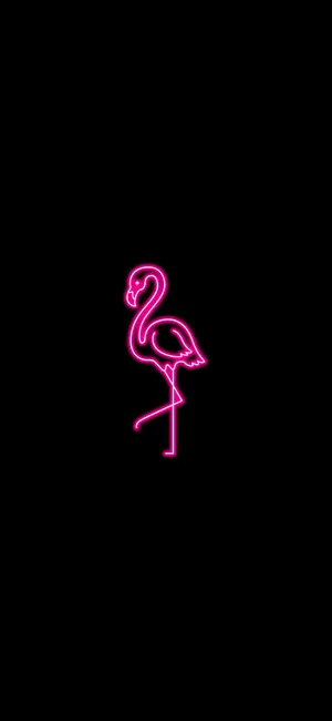 Neon Pink Aesthetic Flamingo Wallpaper