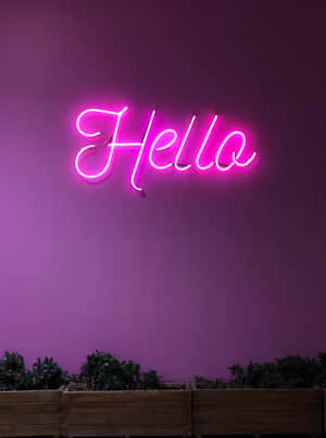 Neon Pink Hello Sign Wall Art Wallpaper