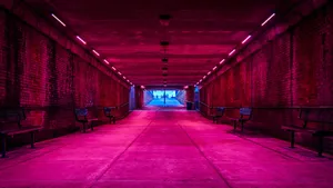 Neon Pink Underground Tunnel Wallpaper