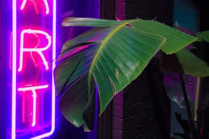 Neon Purple Grunge Aesthetic With Plant.jpg Wallpaper