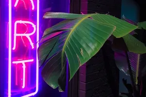 Neon Purple Grunge Aesthetic With Plant.jpg Wallpaper