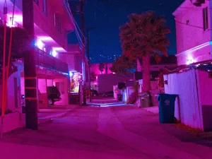 Neon Purple Night Street Aesthetic.jpg Wallpaper