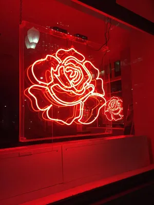 Neon Rose Window Display Wallpaper