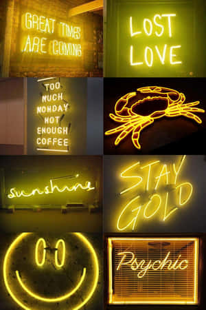 Neon Signs With Different Words And Faces Wallpaper