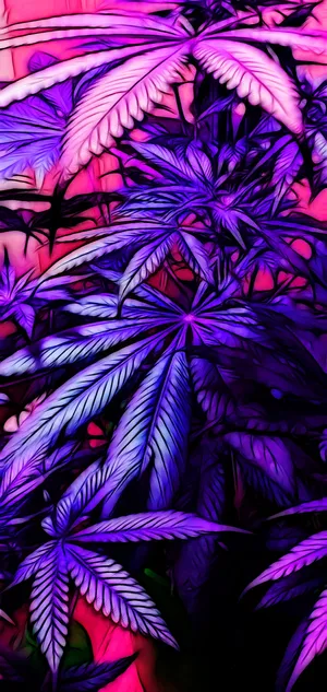 Neon Weed Aesthetic For Iphone Wallpaper