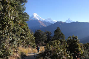 Nepal Lantang Valley Wallpaper