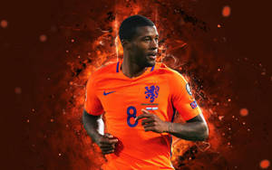 Netherlands National Football Team Georginio Wijnaldum Wallpaper