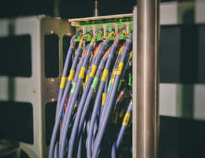 Network Cable Management Data Center Wallpaper