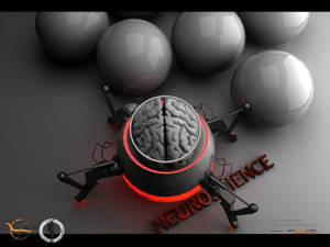 Neuroscience Cerebral 3d Illustration Wallpaper