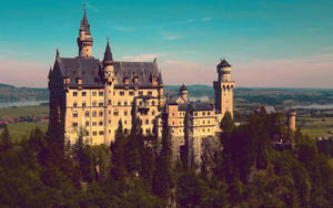 Neuschwanstein Castle Bathed In Sunlight Wallpaper