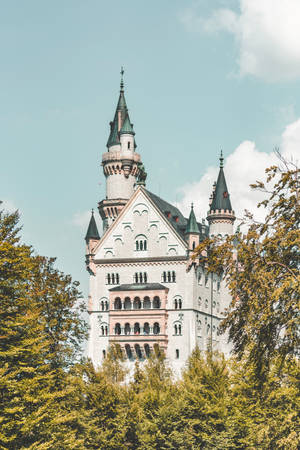 Neuschwanstein Castle Front View Wallpaper