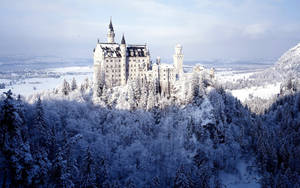 Neuschwanstein Castle White Winter Wallpaper