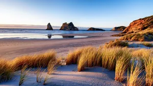 New Plymouth Coastal View New Zealand Wallpaper