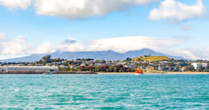 New Plymouth Coastlinewith Mount Taranaki Wallpaper