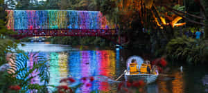 New Plymouth Illuminated Bridge Boating Experience Wallpaper