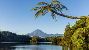 New Plymouth Lakeand Mountain View Wallpaper