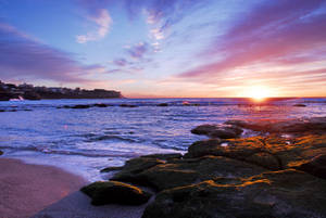 New South Wales Beach Side Wallpaper