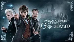 Newt Scamander And Magical Creatures In Fantastic Beasts Scene Wallpaper